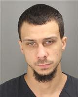 TYLER MICHAEL DONNELLY Mugshot / Oakland County MI Arrests / Oakland County Michigan Arrests