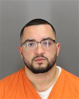 JOEL  LEON Mugshot / Oakland County MI Arrests / Oakland County Michigan Arrests