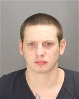ZACHARY ALLEN HANSON Mugshot / Oakland County MI Arrests / Oakland County Michigan Arrests