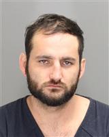 CHRISTOPHER LOREN RABIDEAU Mugshot / Oakland County MI Arrests / Oakland County Michigan Arrests