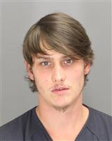 ZACKARY ALLEN HAGGERTY Photo / ZACKARY ALLEN HAGGERTY Images