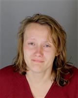 CHRISTINE MAE JAMES Mugshot / Oakland County MI Arrests / Oakland County Michigan Arrests