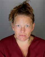 ERICA SUSAN HILL Mugshot / Oakland County MI Arrests / Oakland County Michigan Arrests