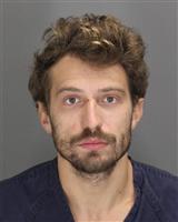JOSEPH RUSSEL RICCI Mugshot / Oakland County MI Arrests / Oakland County Michigan Arrests