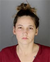 STACEY NICOLE MCCOMBS Mugshot / Oakland County MI Arrests / Oakland County Michigan Arrests