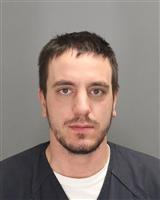 CHRISTIAN ARTHUR LIVO Mugshot / Oakland County MI Arrests / Oakland County Michigan Arrests