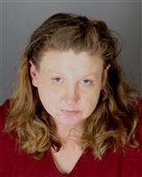 SHERRY LYNN TOMCZYK Mugshot / Oakland County MI Arrests / Oakland County Michigan Arrests