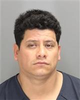 JOSE CARLOS CORTEZ Photo / JOSE CARLOS CORTEZ Images