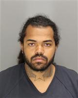 JEFFREY ALAN STRAUSS Mugshot / Oakland County MI Arrests / Oakland County Michigan Arrests