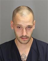 TREVOR JAMES RYSDORP Mugshot / Oakland County MI Arrests / Oakland County Michigan Arrests