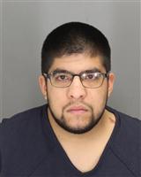 JOSHUA SAM KLEIN Mugshot / Oakland County MI Arrests / Oakland County Michigan Arrests