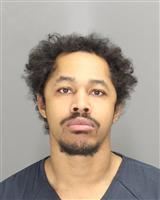 STEVEN RYAN MARKS Photo / STEVEN RYAN MARKS Images