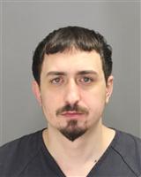 DANIEL  PUSTA Mugshot / Oakland County MI Arrests / Oakland County Michigan Arrests