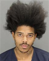 JOSHUA WILLIAM PAGEWILSON Mugshot / Oakland County MI Arrests / Oakland County Michigan Arrests