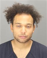 SETH CHRISTIAN DOYLE Photo / SETH CHRISTIAN DOYLE Images