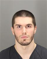 COLTON TYLER MARTIN Mugshot / Oakland County MI Arrests / Oakland County Michigan Arrests