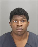 DAVE VAANII GARDINER Photo / DAVE VAANII GARDINER Images