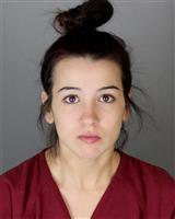 SARA RENEE VANDYKE Mugshot / Oakland County MI Arrests / Oakland County Michigan Arrests