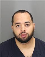 RYAN ALEXANDER HICKS Mugshot / Oakland County MI Arrests / Oakland County Michigan Arrests