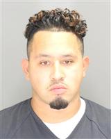 GABRIEL JOVANNI BAHENA Mugshot / Oakland County MI Arrests / Oakland County Michigan Arrests