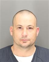 JOEY LEIGH BURNS Mugshot / Oakland County MI Arrests / Oakland County Michigan Arrests