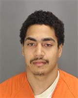 TYLER RAY GOOLSBY Mugshot / Oakland County MI Arrests / Oakland County Michigan Arrests