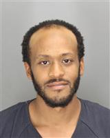 JASON EVERETT SNELL Mugshot / Oakland County MI Arrests / Oakland County Michigan Arrests