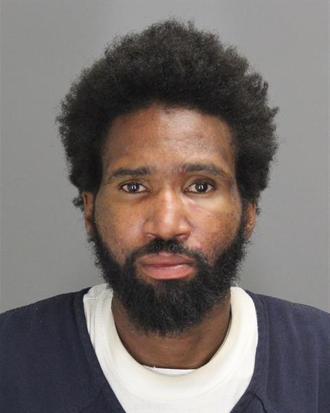 DARIUS EUGENE MITCHELL Mugshot / Oakland County MI Arrests / Oakland County Michigan Arrests