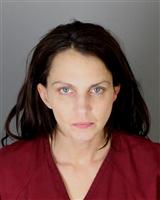 SARA LYNN PAWLOSKI Mugshot / Oakland County MI Arrests / Oakland County Michigan Arrests