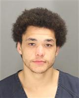 CAMERON AVERY MCCALLISTER Mugshot / Oakland County MI Arrests / Oakland County Michigan Arrests