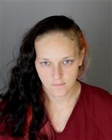 RACHAEL MARIE PRESS Mugshot / Oakland County MI Arrests / Oakland County Michigan Arrests