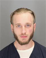 TYLER DEREK REED Mugshot / Oakland County MI Arrests / Oakland County Michigan Arrests