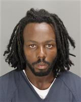 LAREAL TYJUAN LEWIS Photo / LAREAL TYJUAN LEWIS Images