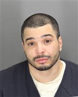 RAYMOND  VEGA Mugshot / Oakland County MI Arrests / Oakland County Michigan Arrests