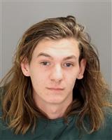 TYLER MICHAEL VROMAN Mugshot / Oakland County MI Arrests / Oakland County Michigan Arrests