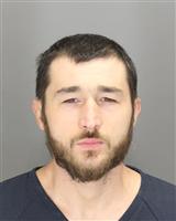 CALIN DANIEL GHIURAU Mugshot / Oakland County MI Arrests / Oakland County Michigan Arrests