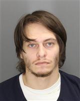 REID SADEK ALSANDOUK Mugshot / Oakland County MI Arrests / Oakland County Michigan Arrests