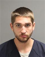 KYLE WARD STACHELSKI Mugshot / Oakland County MI Arrests / Oakland County Michigan Arrests