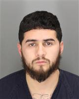 BERNARDINO PRESIADO LOMELI Mugshot / Oakland County MI Arrests / Oakland County Michigan Arrests