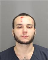 CHRISTOPHER JAMES ROGAN Mugshot / Oakland County MI Arrests / Oakland County Michigan Arrests