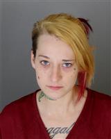 JESSICA KAY BRASGALLA Mugshot / Oakland County MI Arrests / Oakland County Michigan Arrests
