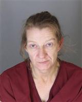 SHIELA MARIE DECLUE Mugshot / Oakland County MI Arrests / Oakland County Michigan Arrests