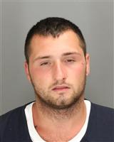 DILLON GAIL FERGUSON Mugshot / Oakland County MI Arrests / Oakland County Michigan Arrests
