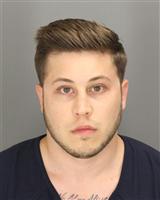 ANDREW STEVEN BELL Mugshot / Oakland County MI Arrests / Oakland County Michigan Arrests