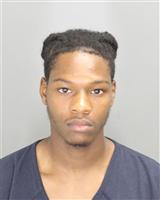 TRAVION TERRELL WATKINS Photo / TRAVION TERRELL WATKINS Images