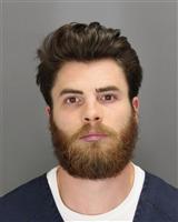 EMMETT PALMER HOLTZMAN Mugshot / Oakland County MI Arrests / Oakland County Michigan Arrests