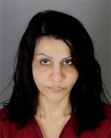 ALEKABY N HASSNA Mugshot / Oakland County MI Arrests / Oakland County Michigan Arrests