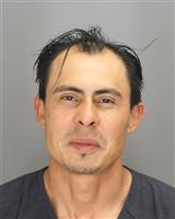 CESAR ALEXANDER ECHEGOYEN Mugshot / Oakland County MI Arrests / Oakland County Michigan Arrests