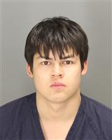 JULIAN MICHAEL POCZATEK Mugshot / Oakland County MI Arrests / Oakland County Michigan Arrests