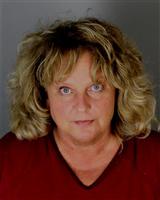 MICHELLE MARIE OXLEY Mugshot / Oakland County MI Arrests / Oakland County Michigan Arrests